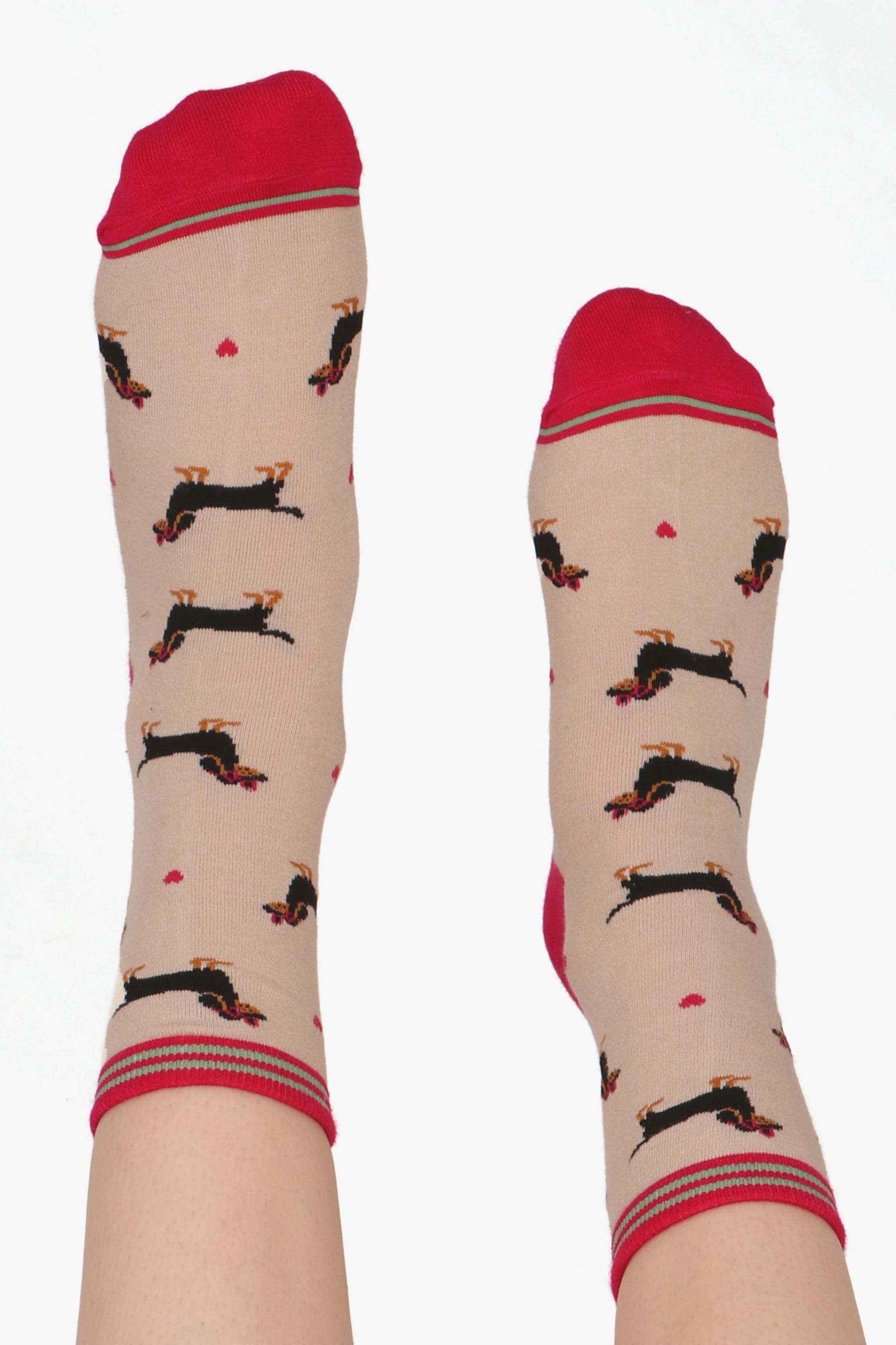 Cream Sausage Dogs Sunglasses Bamboo Socks, Image 4 of 5