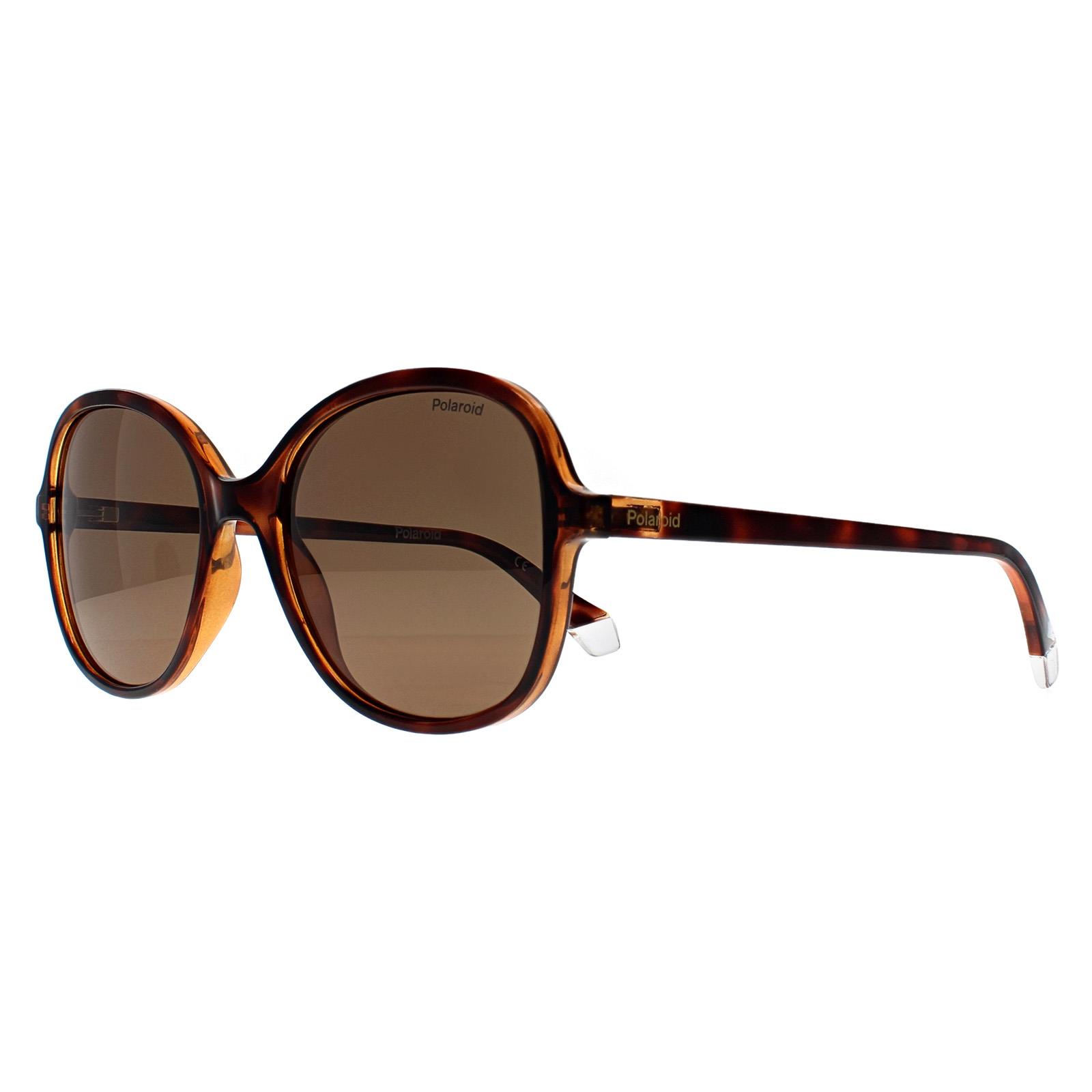 Brown Butterfly Havana Bronze Polarized PLD 4136/S, Image 2 of 4
