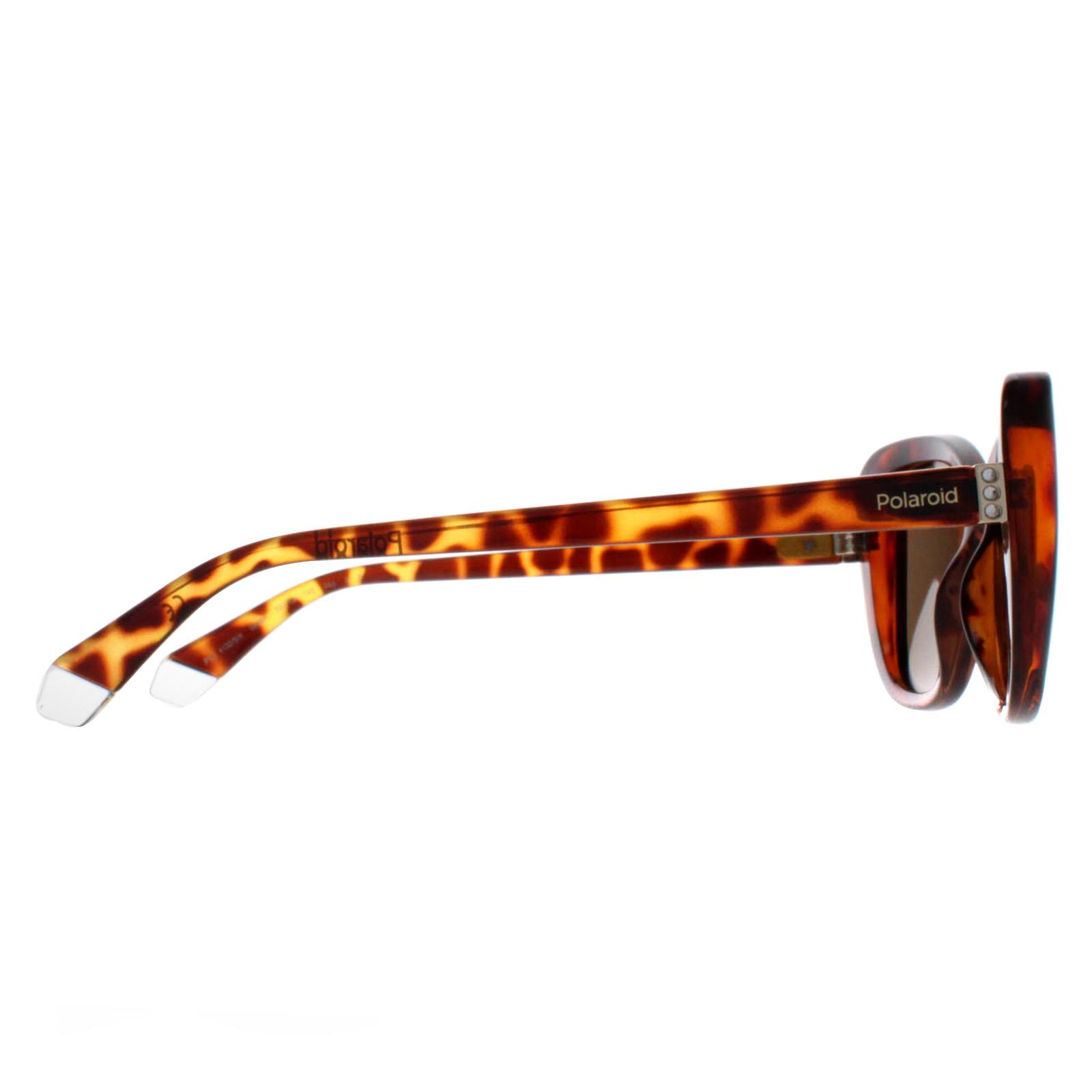 Brown Butterfly Havana Bronze Polarized PLD 4132/S, Image 4 of 4