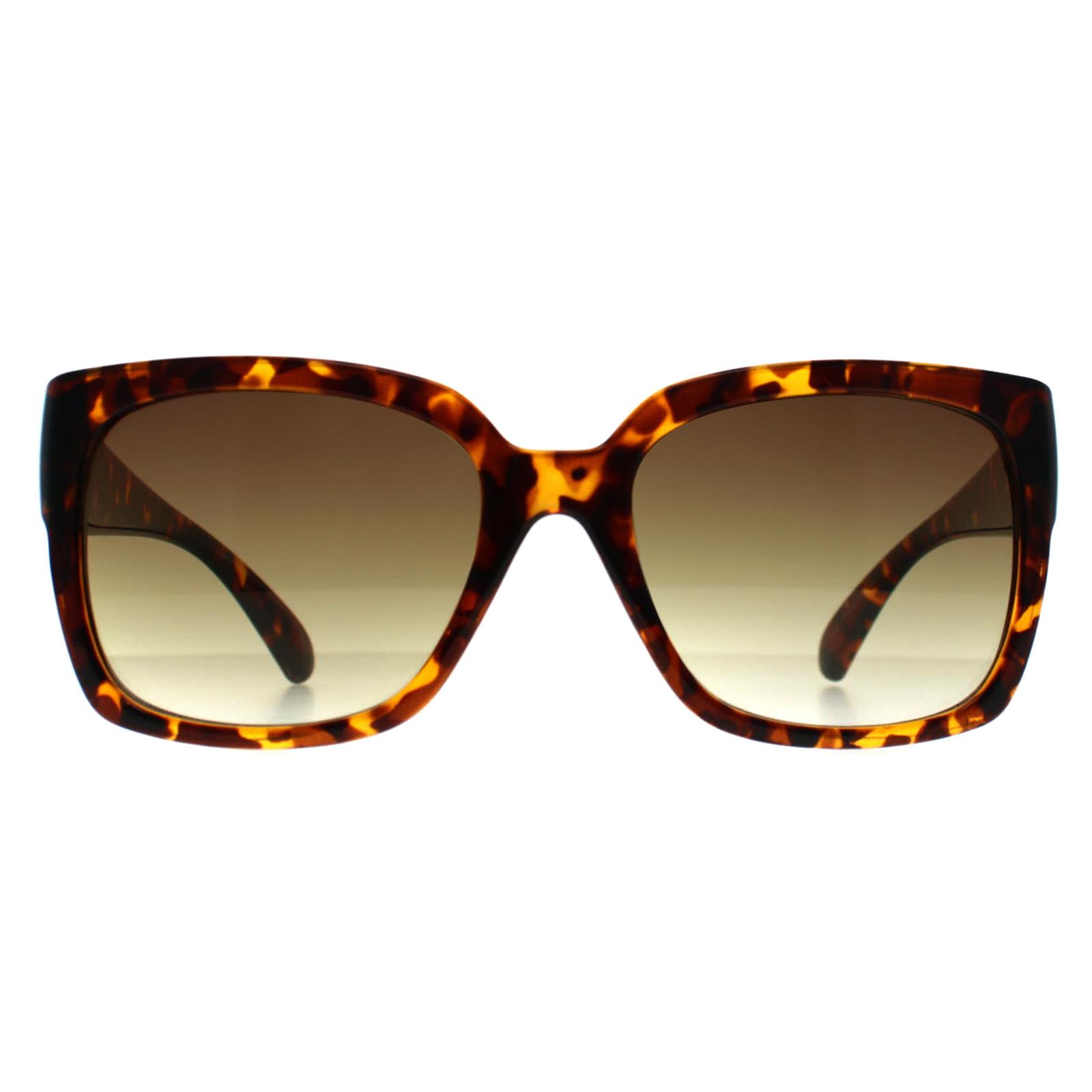 Brown Calvin Klein Brown Square Shiny Havana Brown Gradient CK22549S, Image 1 of 3