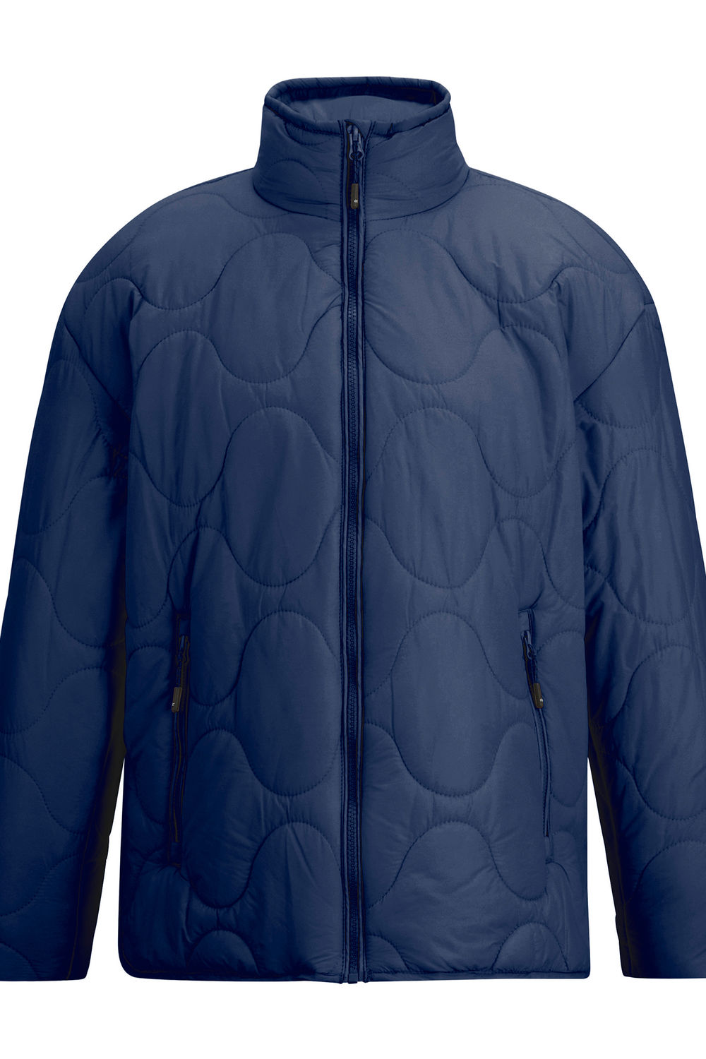 Navy Carlotte Quilted Padded Jacket, Image 1 of 5