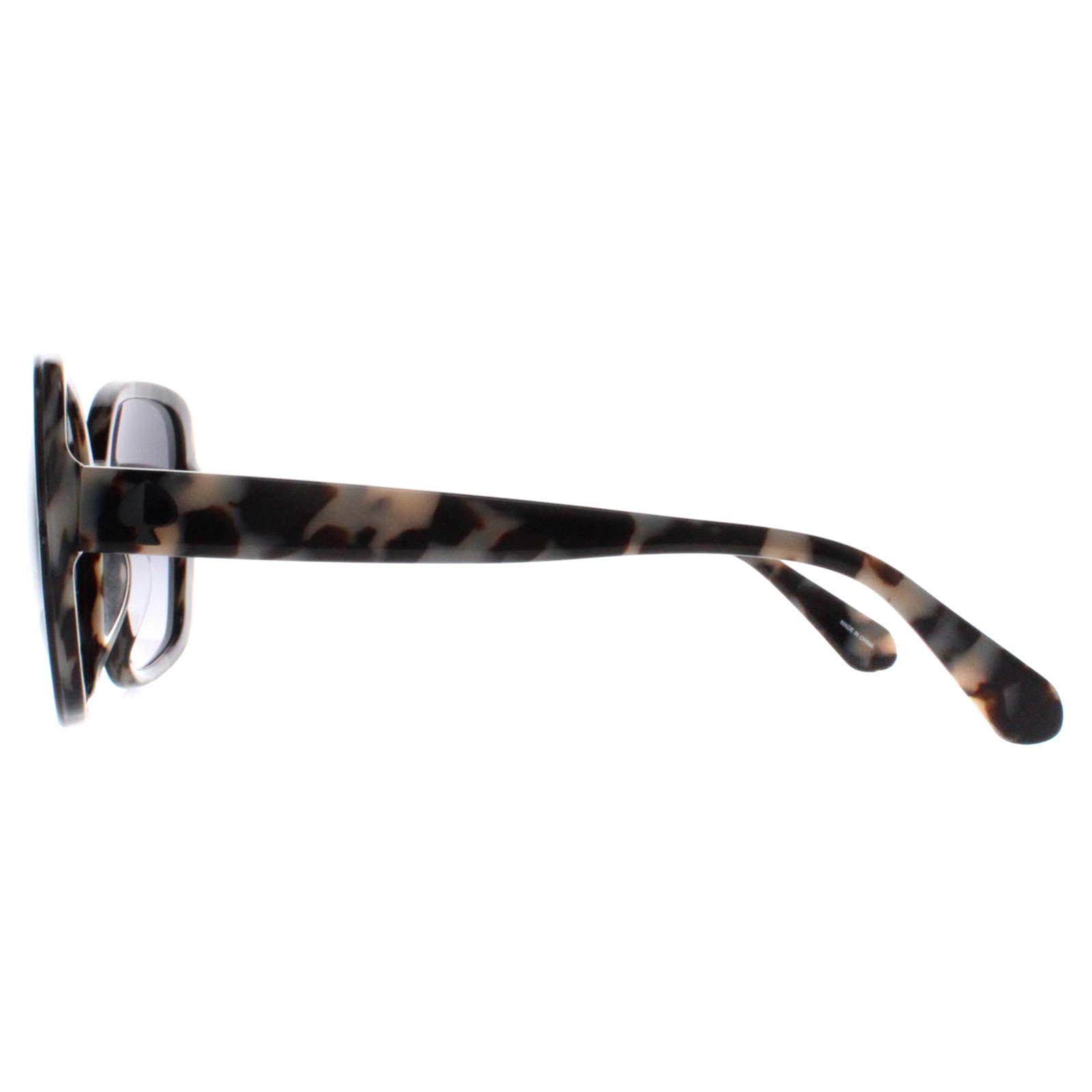 Black Buttefly Black Havana  Grey Gradient Elianna/G/S, Image 3 of 4