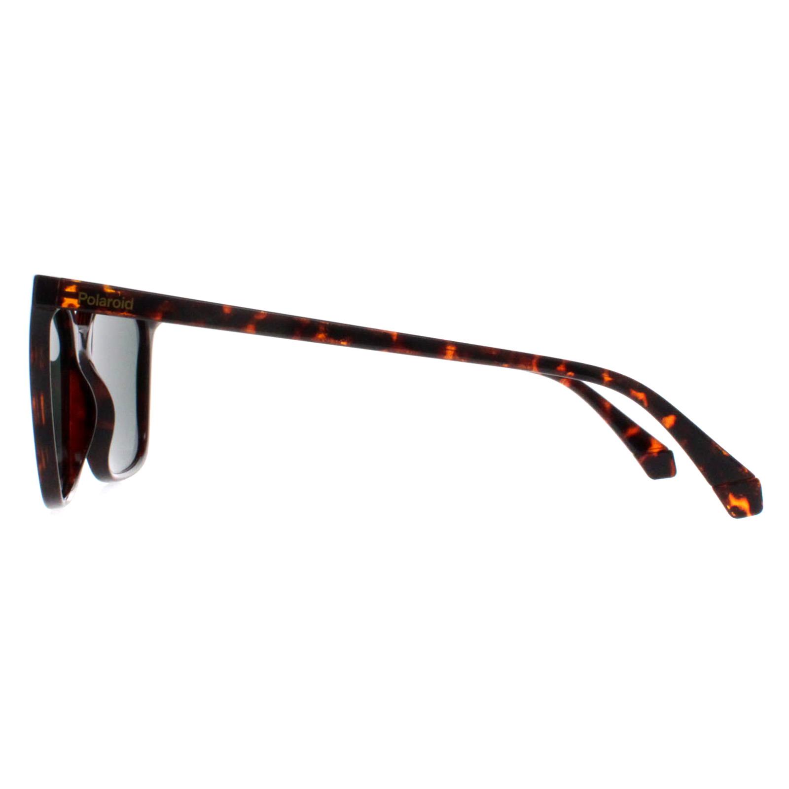 Brown Square Havana Green Polarized PLD 4163/S, Image 3 of 4