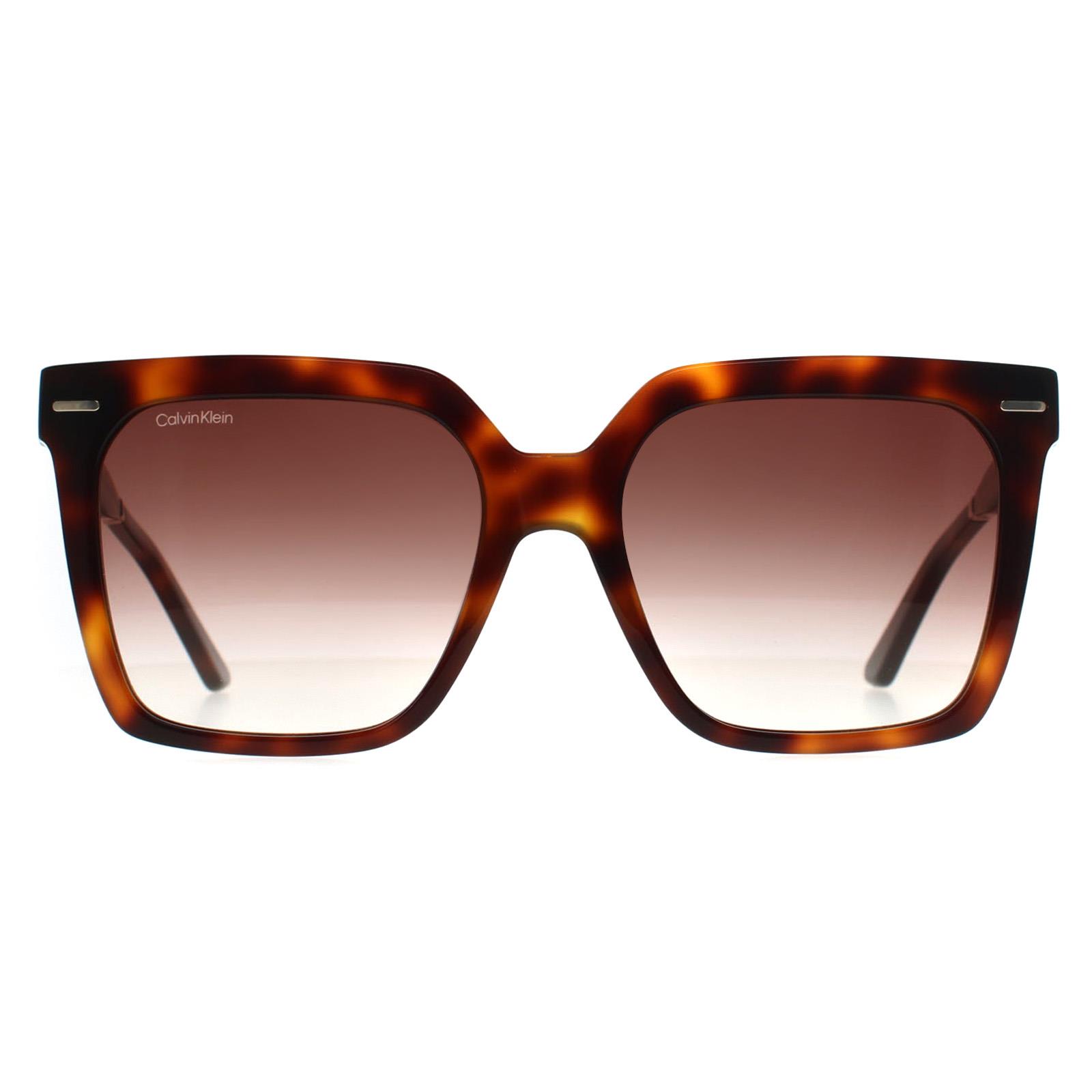 Brown Calvin Klein Brown Square Brown Havana Brown Gradient CK22534S, Image 1 of 3