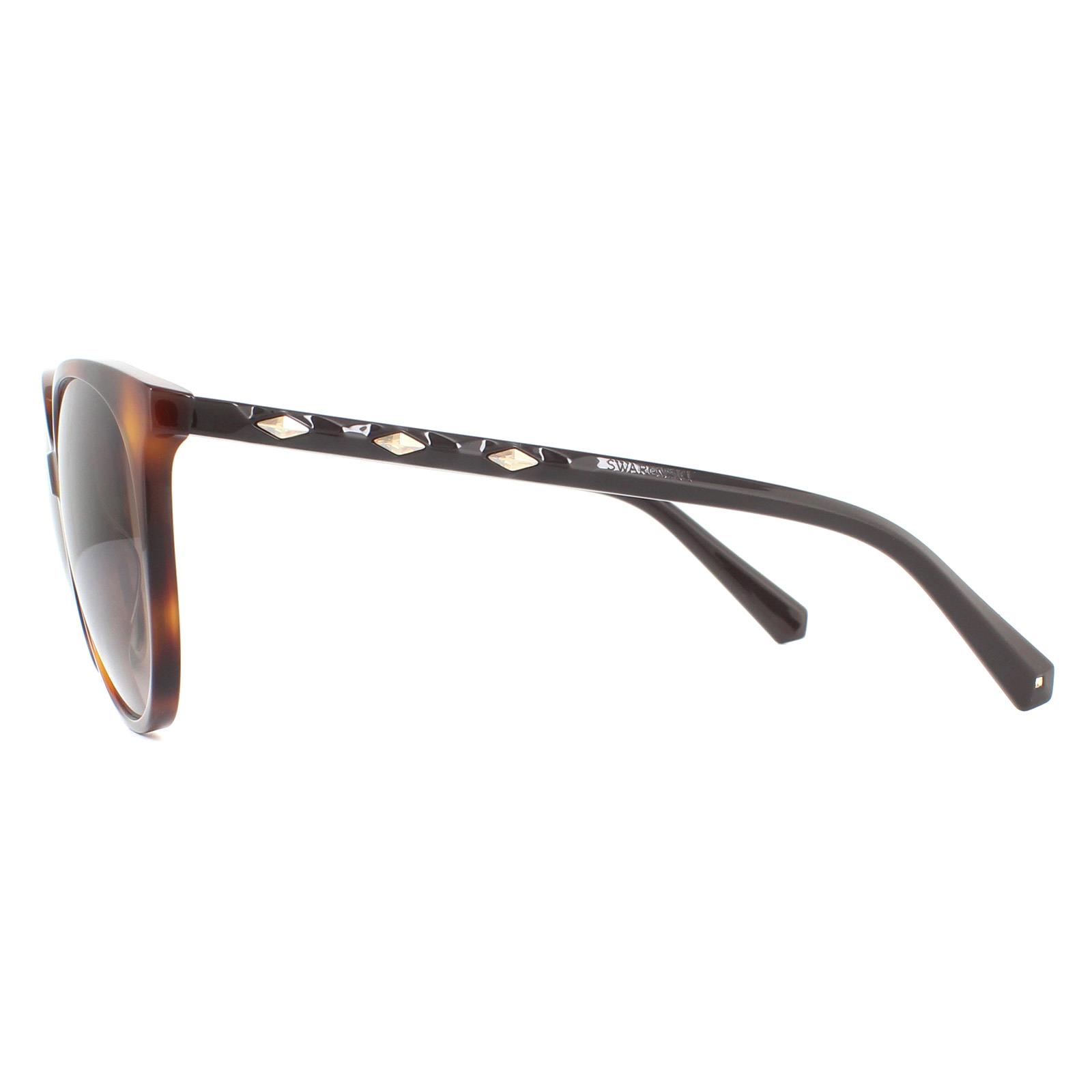 Brown Swarovski Brown Round Dark Havana Brown Gradient Sunglasses, Image 3 of 4