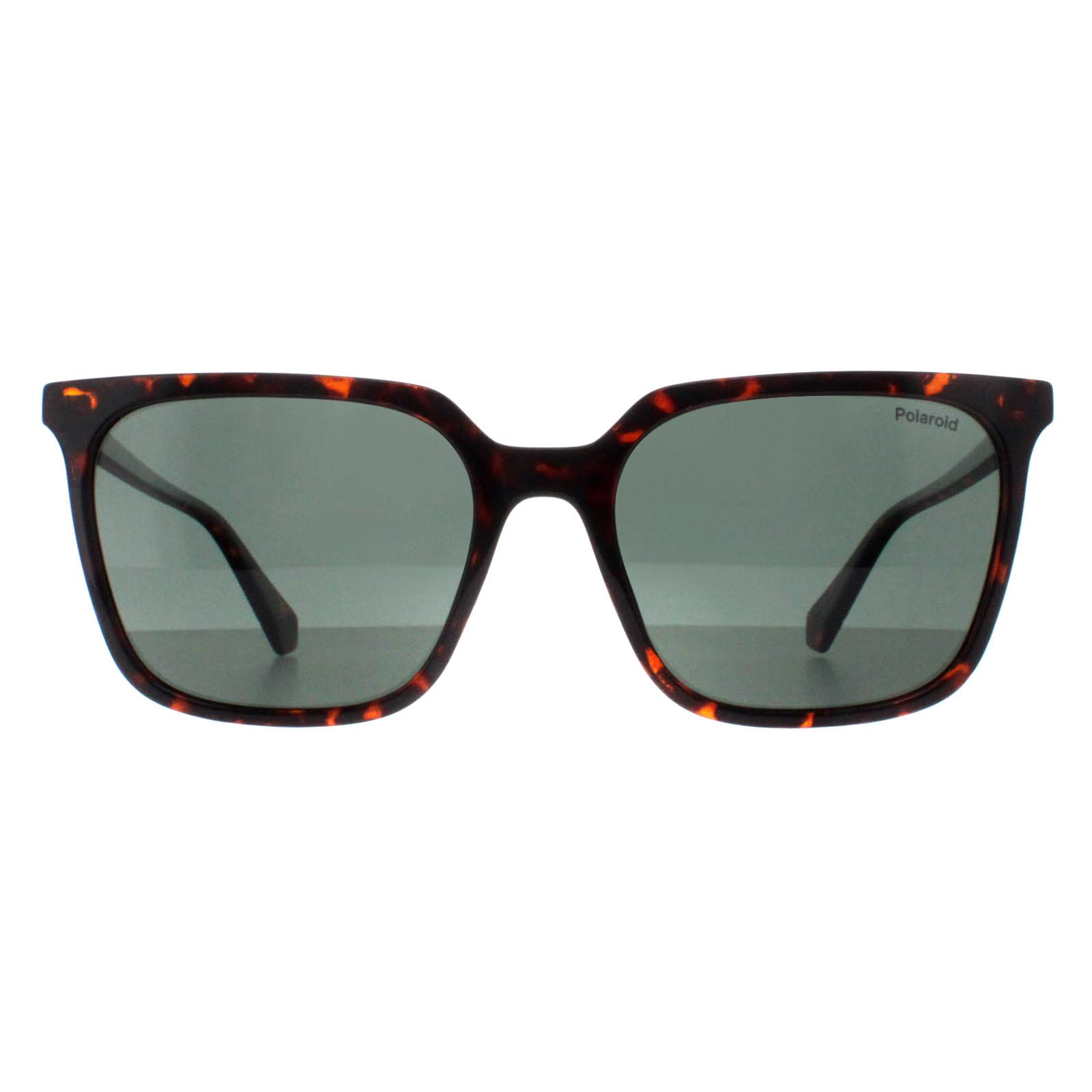 Brown Square Havana Green Polarized PLD 4163/S, Image 1 of 4