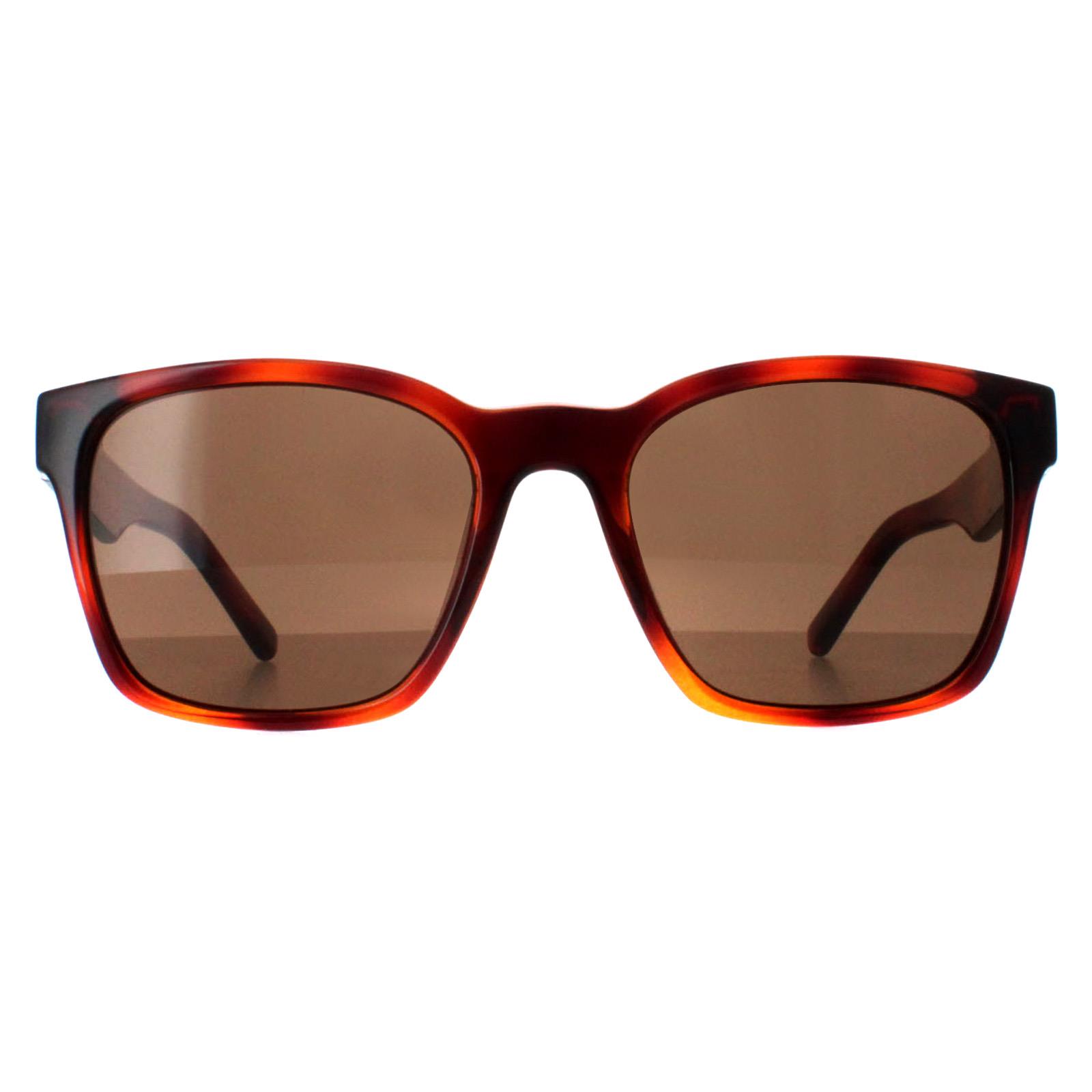 Brown Salvatore Ferragamo Brown Square Tortoise Brown SF959S, Image 1 of 4