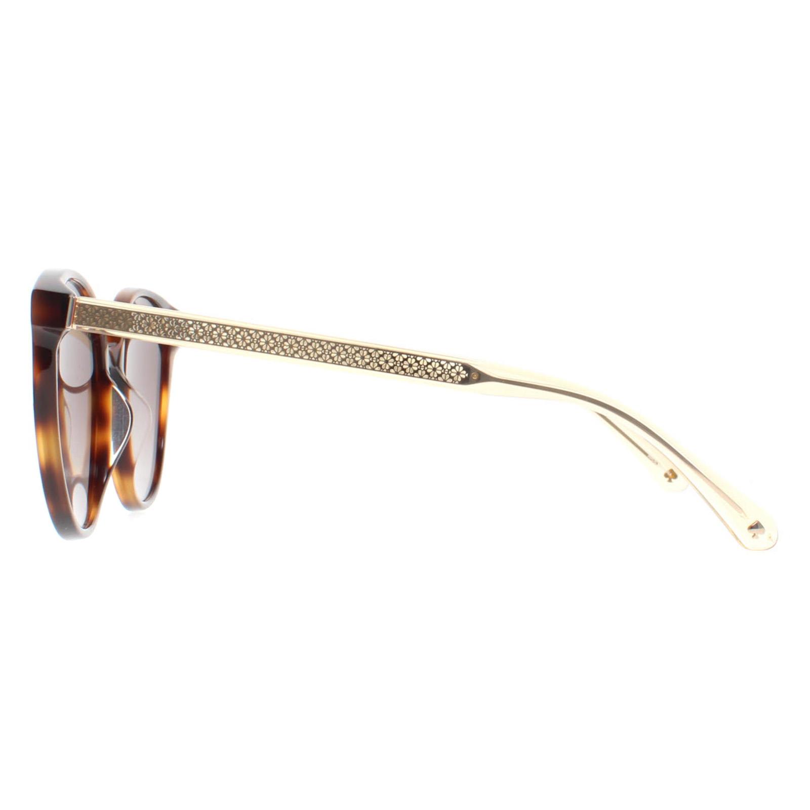 Brown Oval Havana Brown Gradient Kimberlyn/G/S, Image 3 of 4