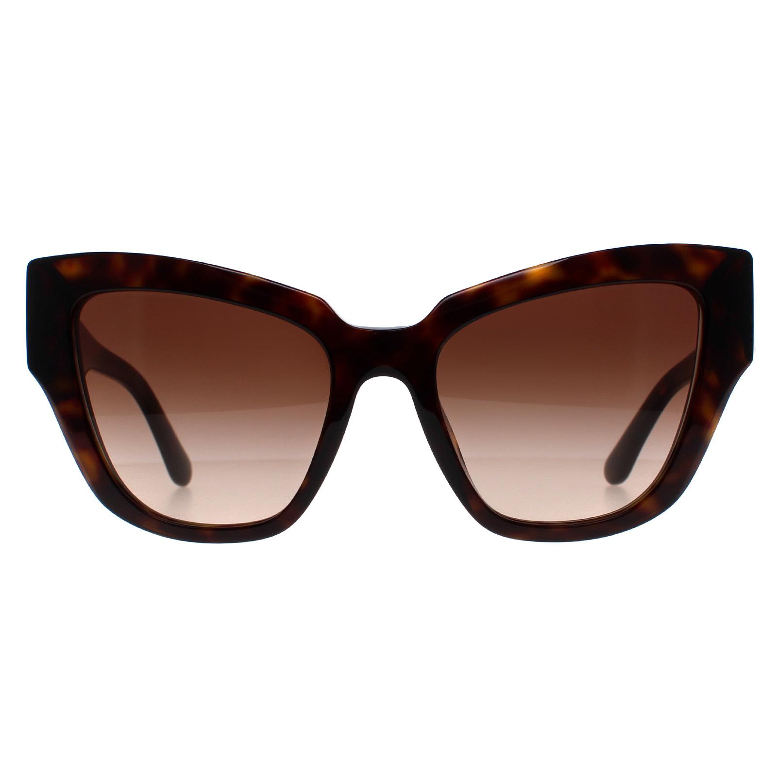 Cat Eye Havana Brown Gradient DG4404, Image 1 of 7