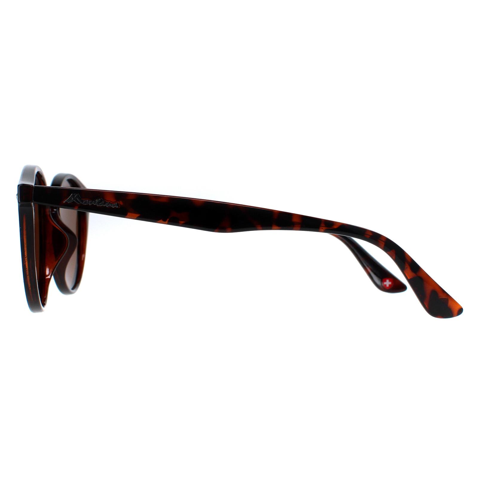 Brown Montana Brown Round Tortoise Brown Polarized MP20B Sunglasses, Image 3 of 4