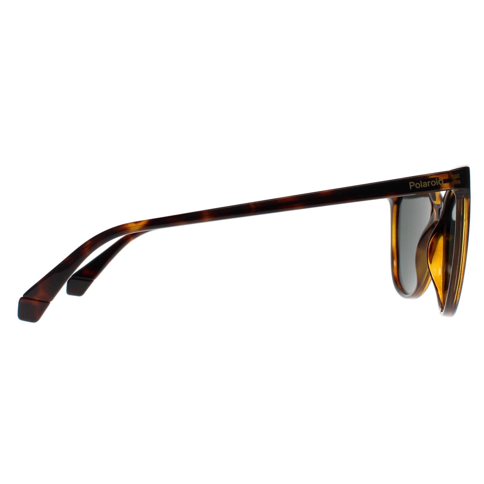 Brown Cat Eye Havana Green Polarized PLD 4179/S, Image 4 of 4