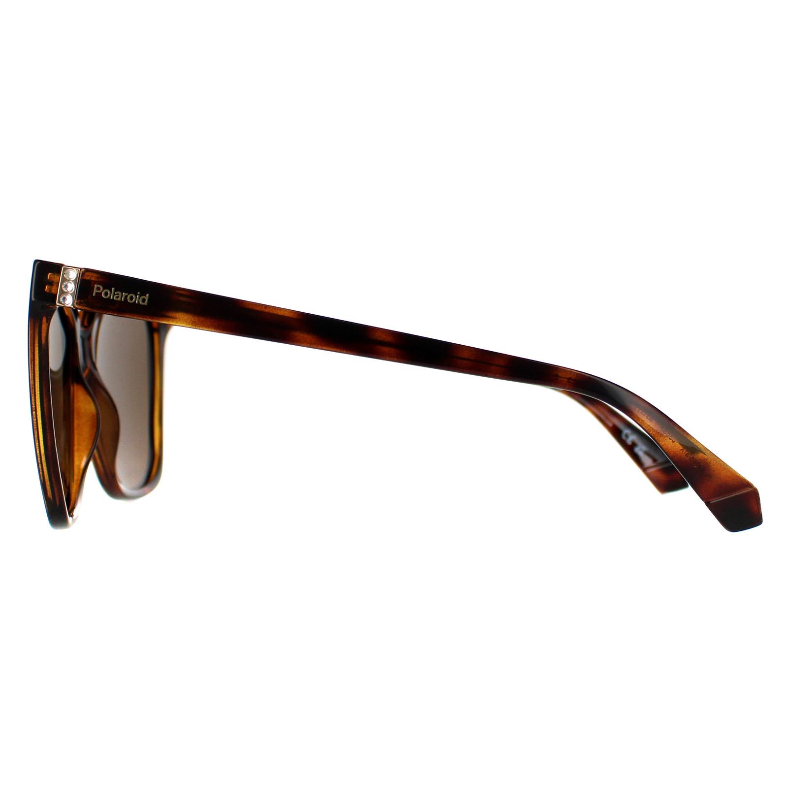 Brown Square Havana Bronze Polarized PLD 4155/S/X, Image 3 of 4