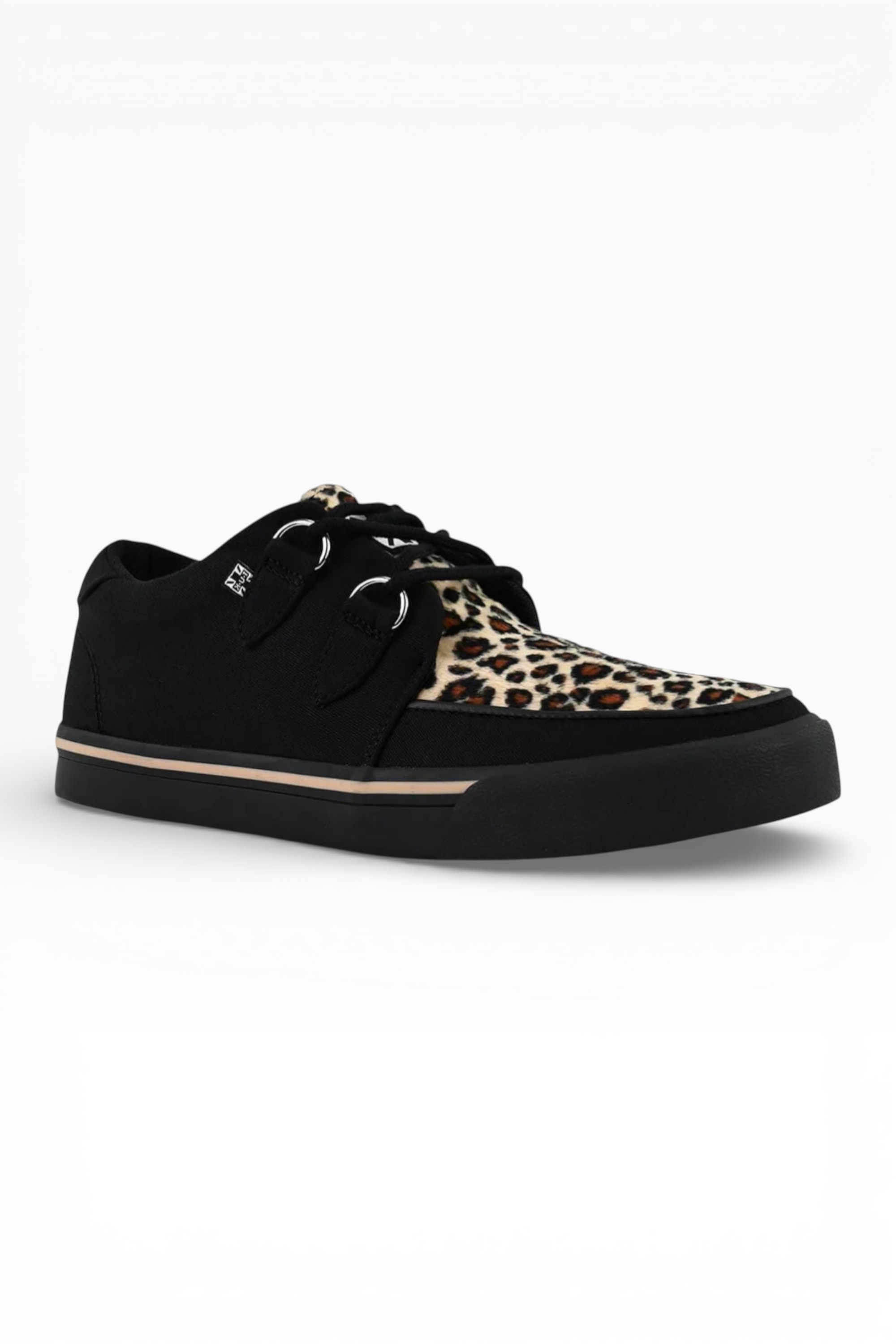 Black TUK Footwear Black Pointed Creeper Sneaker Leopard Canvas Shoes, Image 2 of 8