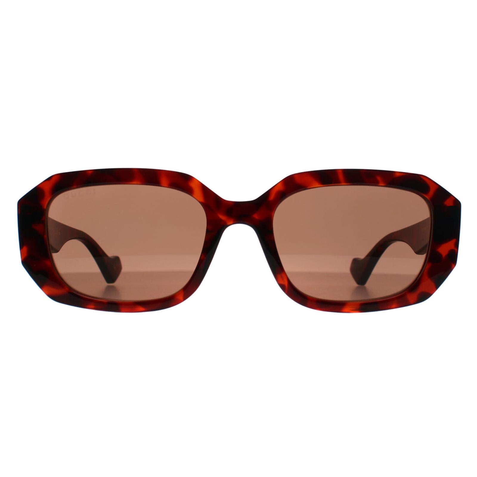Brown Rectangle Shiny Dark Havana Brown GG1535S, Image 1 of 3