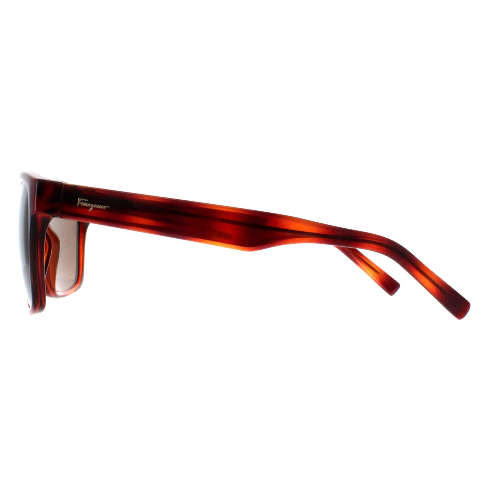 Brown Salvatore Ferragamo Brown Square Tortoise Brown SF959S, Image 3 of 4