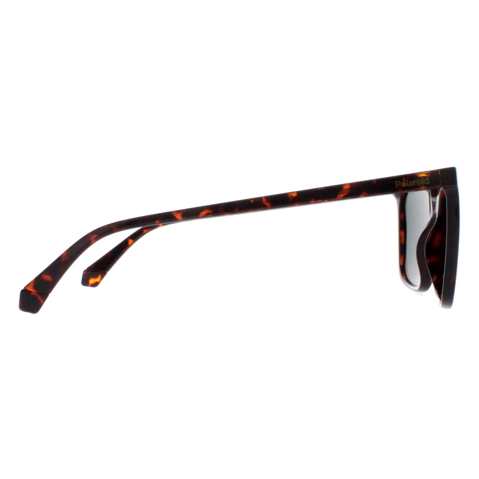 Brown Square Havana Green Polarized PLD 4163/S, Image 4 of 4