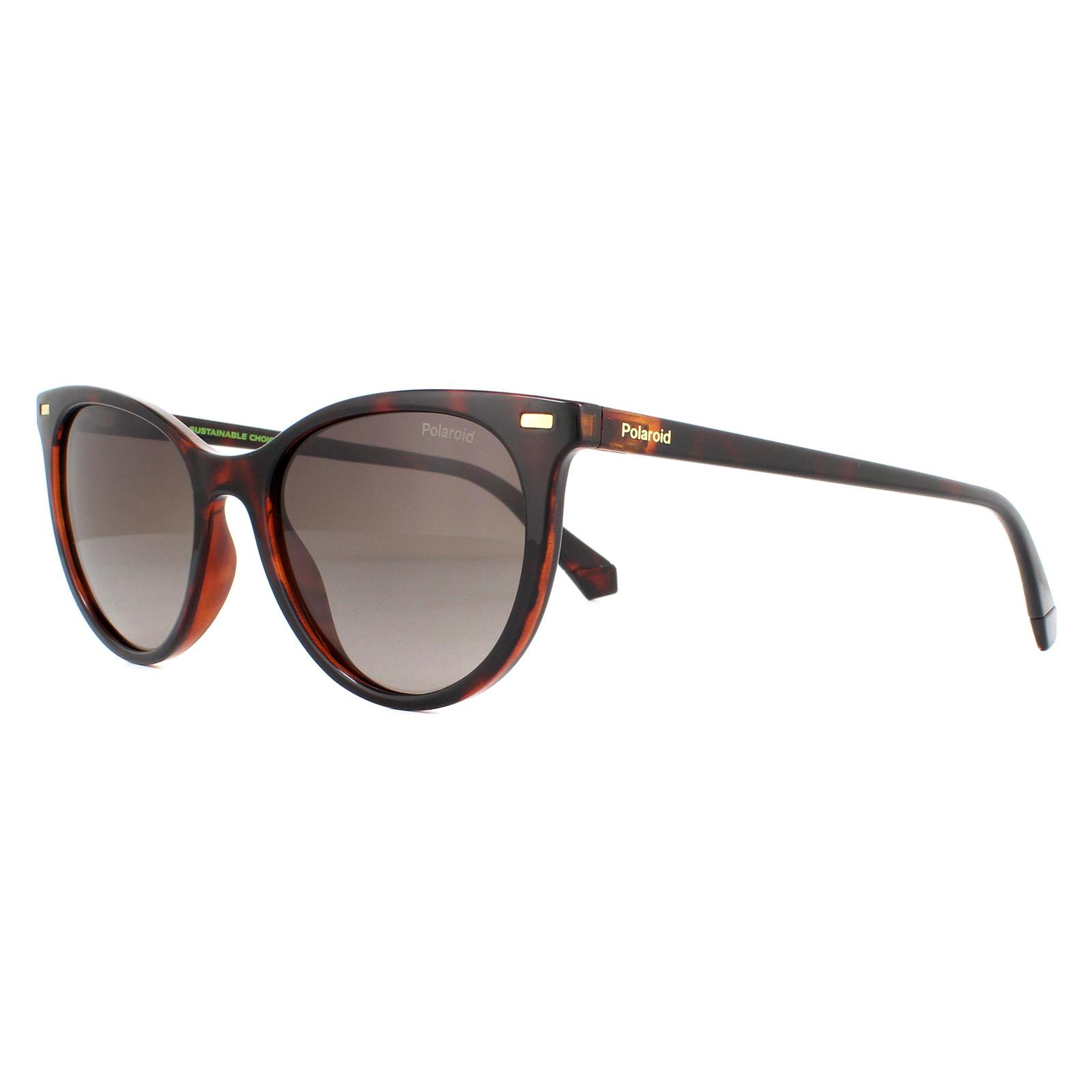 Brown Cat Eye Havana Brown Gradient Polarized Sunglasses, Image 2 of 4