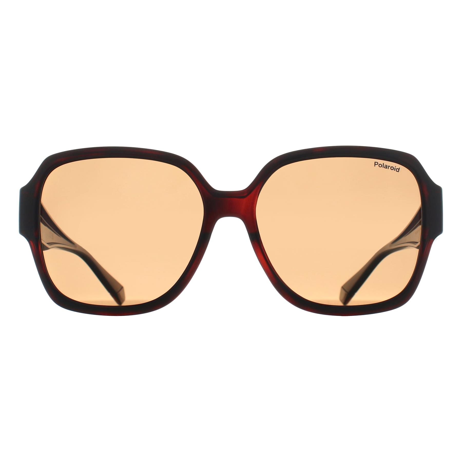 Brown Square Havana Bronze Polarized PLD 9021/S, Image 1 of 3