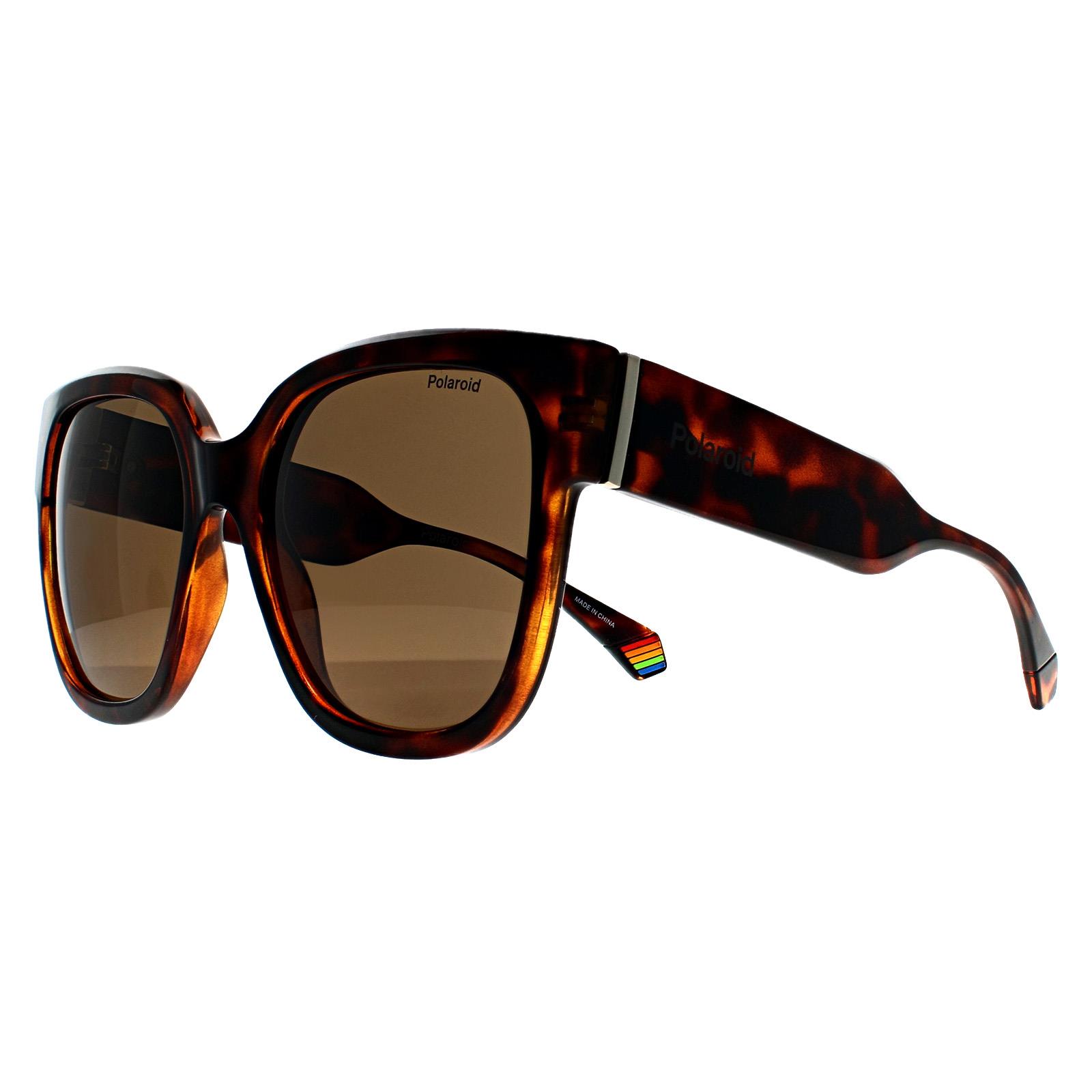 Brown Square Havana Bronze Polarized PLD 6167/S, Image 2 of 3