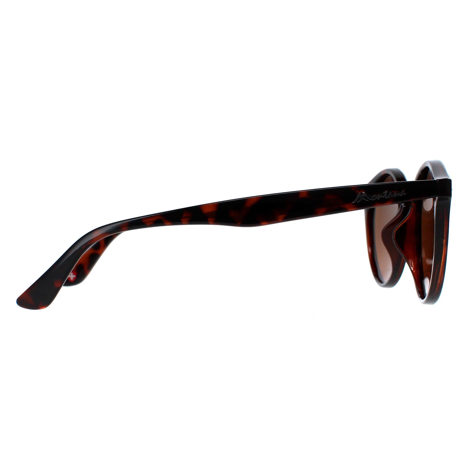 Brown Montana Brown Round Tortoise Brown Polarized MP20B Sunglasses, Image 4 of 4