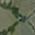 14853834