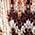 16358315