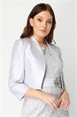 Silver Lace Embellished Trim Dress, Image 4 of 5