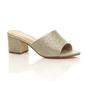 Gold AJVANI Gold Mid Block Heel Peep Toe Mules Sandals, Image 1 of 6