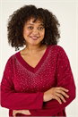 Red Curve Sparkly Knit Top, Image 1 of 5