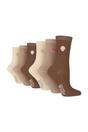 Brown 6 Pack Embroidered Crew Socks, Image 1 of 3