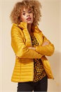 Amber Hooded Zip Through Padded Coat, Image 1 of 4