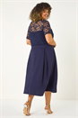 Navy  Curve Lace Detail Pleated Dress, Image 3 of 5