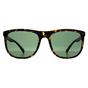 Brown Square Shiny Havana Green CK22557S, Image 1 of 3