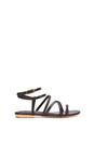 Brown XY LONDON Brown Flat Gladiator Strappy Sandals With Open Toe, Image 1 of 6