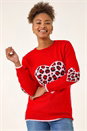 Red Animal Heart Detail Knit Jumper , Image 4 of 5