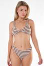 Brown Textured Stripe Bikini Bottom, Image 1 of 4
