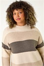 Natural  Curve Colour Block Stripe Knit Jumper, Image 4 of 7