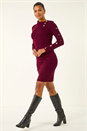 Wine Button Detail Roll Neck Jumper Dress, Image 2 of 5