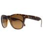 Brown Ray-Ban Brown Rectangle Tortoise Brown Folding Wayfarer 4105 Sunglasses, Image 2 of 3