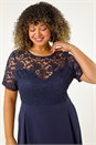 Navy  Curve Lace Detail Pleated Dress, Image 4 of 5