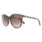 Brown Swarovski Brown Round Dark Havana Brown Gradient Sunglasses, Image 2 of 4