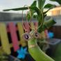 Silver Large Evil Eye Zircon Dangle Hoop Earrings, Image 3 of 7