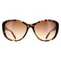 Brown Calvin Klein Brown Cat Eye Tortoise Brown Gradient CK19560S, Image 1 of 4