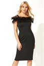 Black Feather Embellished Fitted Dress, Image 1 of 5