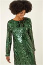 Green Sequin Shift Stretch Dress, Image 5 of 7