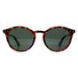 Brown Round Havana Green Polarized PLD 6233/S, Image 1 of 3