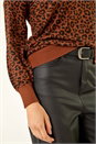 Brown Animal Print V-Neck Boyfriend Jumper, Image 5 of 5