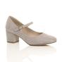 Grey AJVANI Grey Mid Block Heel Mary Jane Court Shoes, Image 1 of 6