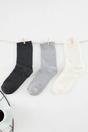 Multi 3 Pack Cotton Terry Knit Crew Socks, Image 1 of 2