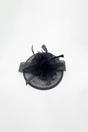 Black Feather & Bow Disc Fascinator, Image 2 of 2